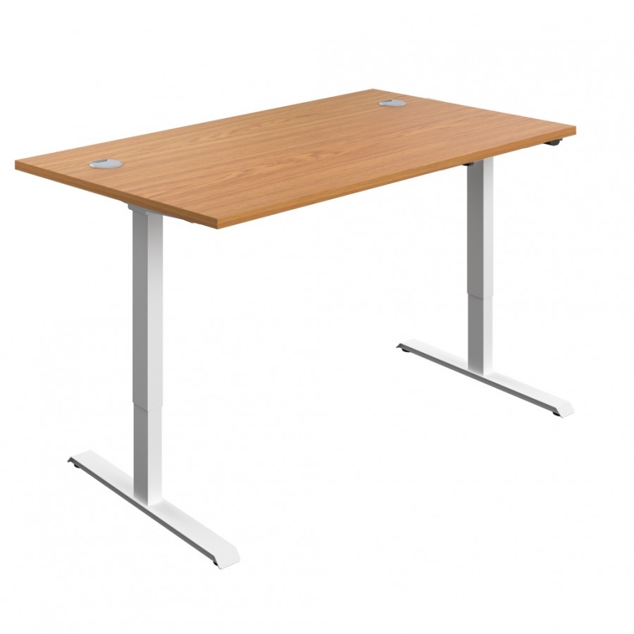 Olton Single Motor Sit Stand Desk 